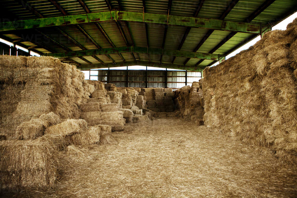 Small Hay Bale  Oriental Trading