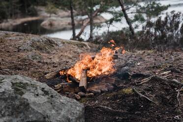 Tea kettle on bonfire in forest